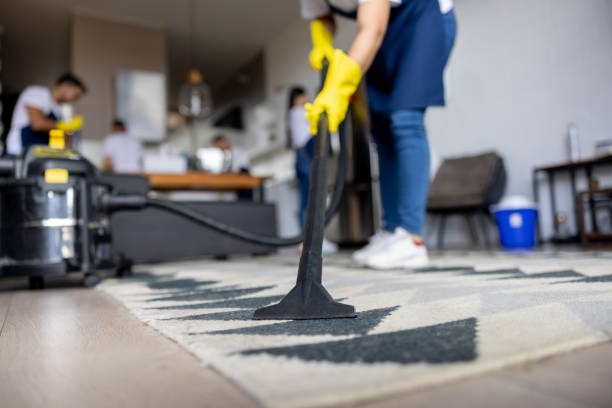 imageye imgi 11 professional cleaner vacuuming a carpet.jpg