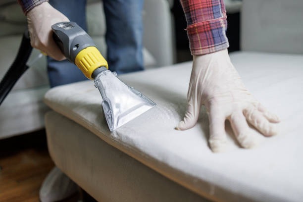 imageye imgi 20 specialist vacuum cleaning the sofa in the living room