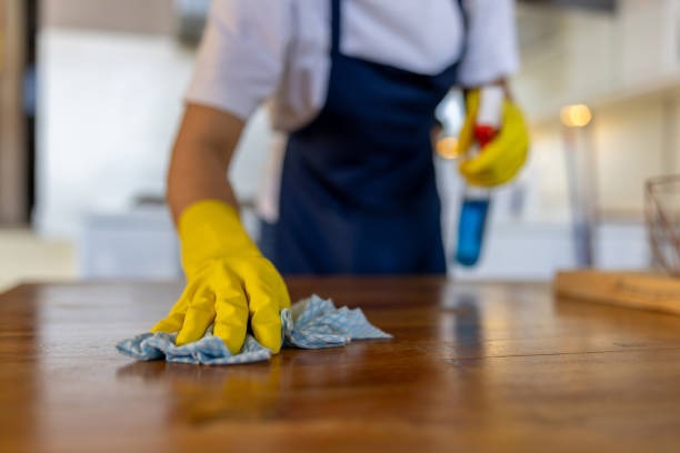 imageye imgi 29 close up on a professional cleaner cleaning a table at a house.jpg