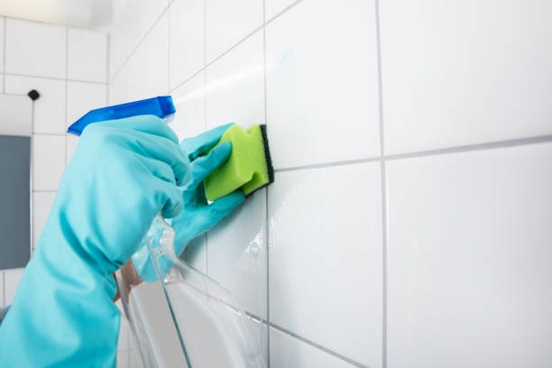 imageye imgi 41 close up of person cleaning the tiled wall