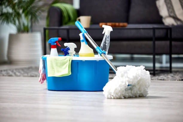 imageye imgi 48 shot of a bucket of cleaning supplies.jpg